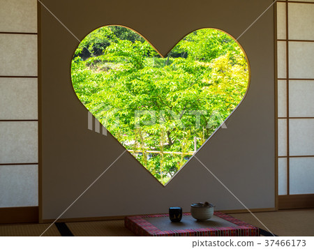 窗口呼喚幸福“野豬窗口” 窗口呼喚幸福“野豬窗口” 37466173