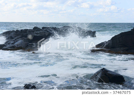 Wave of Golden Rose Wave of Golden Rose 37467075