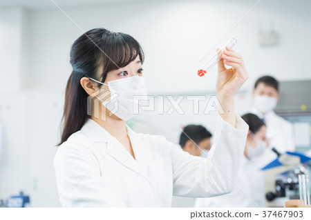 Researcher, laboratory, science, experiment, test tube 37467903