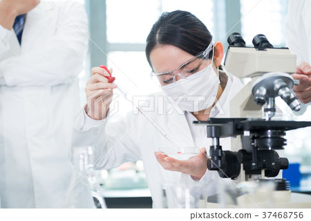 Young woman, researcher, laboratory, science, experiment 37468756