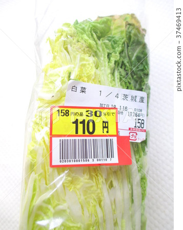 Chinese cabbage 37469413