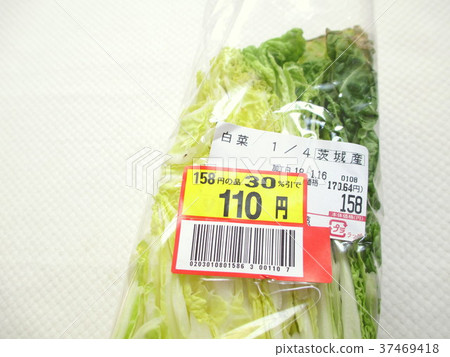 Chinese cabbage 37469418