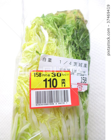 Chinese cabbage 37469419