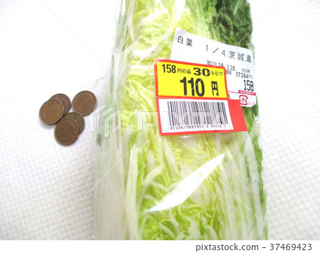 大白菜和降價產品的錢 大白菜和降價產品的錢 37469423