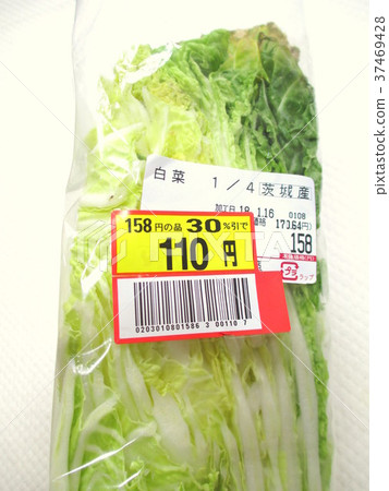 Chinese cabbage 37469428