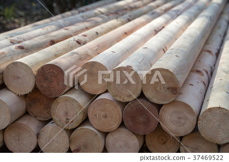 一個日誌 37469522