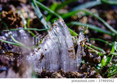 frost pillar frost pillar 37469562