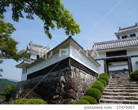 郡上八幡城 郡上八幡城 37470003