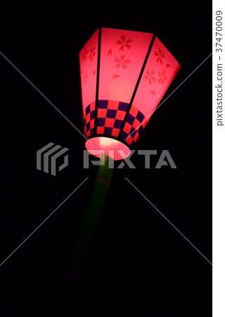 Cherry blossoms Cherry blossoms 37470009