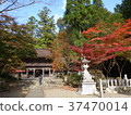 Oyada Shrine 2 37470014