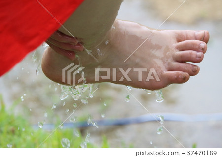 Midori Planting Festival 37470189