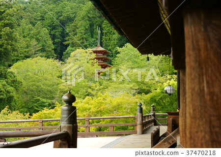 Hase-dera，五層寶塔 37470218