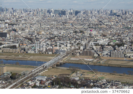 來自川崎市中原區武藏小杉的織田Denenchofu的視圖 37470662