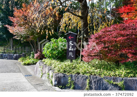 秋天的城市景觀詩Izumikaku 37472092