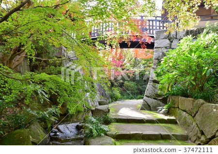 秋天的城市景觀詩Izumikaku 37472111