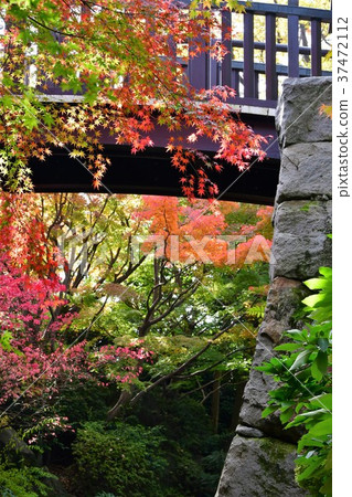 Autumn's Townscape Poetry Izumikaku 37472112