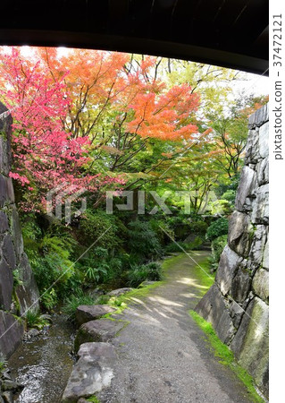 Autumn's Townscape Poetry Izumikaku 37472121