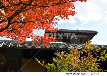 秋天的城市景觀詩Izumikaku 秋天的城市景觀詩Izumikaku 37472130