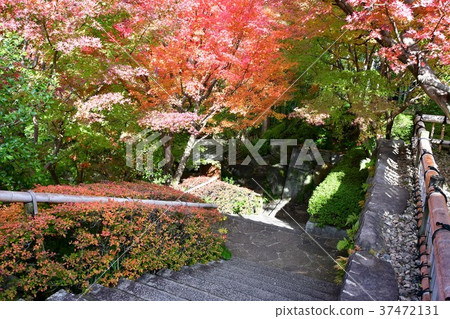 Autumn's Townscape Poetry Izumikaku 37472131