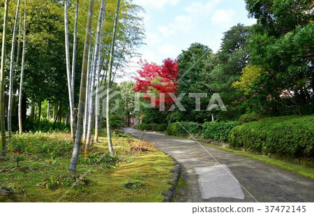 秋天的城市景觀詩Izumikaku 37472145