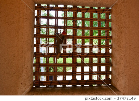 秋天的城市景觀詩Izumikaku 37472149