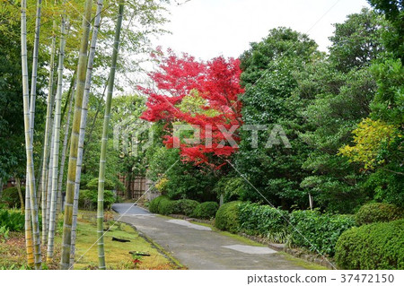 秋天的城市景觀詩Izumikaku 秋天的城市景觀詩Izumikaku 37472150