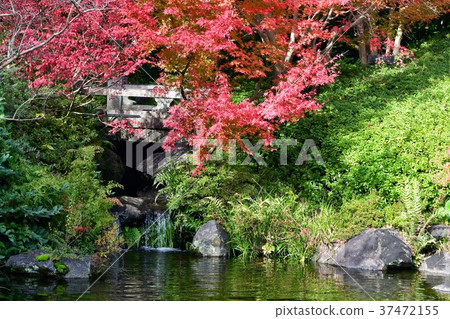 秋天的城市景觀詩Izumikaku 37472155