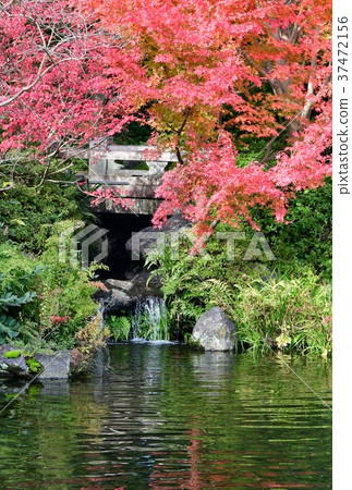 秋天的城市景觀詩Izumikaku 37472156