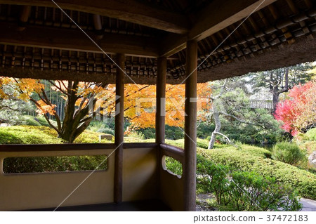 秋天的城市景觀詩Izumikaku 37472183