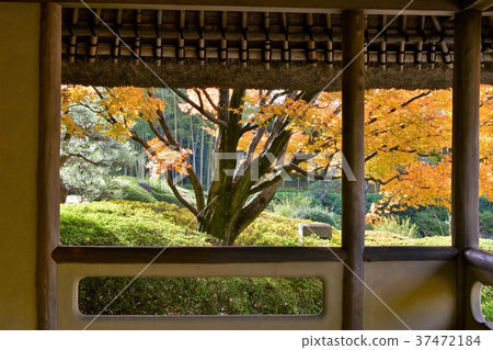 秋天的城市景觀詩Izumikaku 37472184