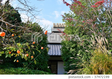 秋天的城市景觀詩Izumikaku 37472199