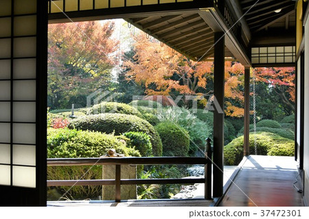 Autumn's Townscape Poetry Izumikaku 37472301