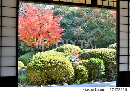 Autumn's Townscape Poetry Izumikaku Autumn's Townscape Poetry Izumikaku 37472316