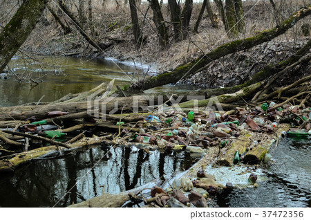 View of the polluted small forest river with a lot View of the polluted small forest river with a lot 37472356