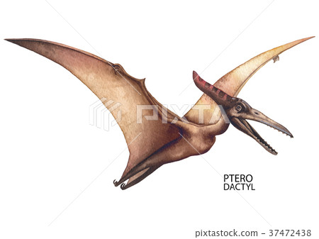 Realistic watercolor dinosaur 37472438
