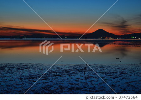 Egawa Coast and Fuji 37472564