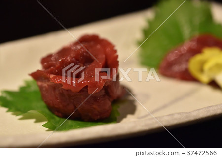 會津馬鮫魚 37472566