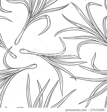 lemongrass seamless pattern 37472699