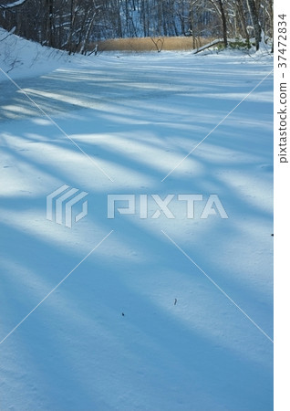 八甲田冬天 37472834