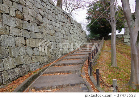 Marugame Castle 37473558