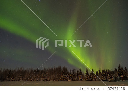 Aurora of the Alaska Fairbanks 37474428