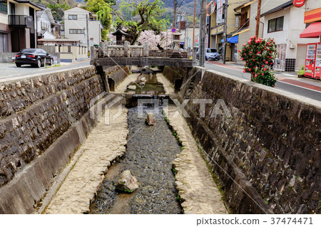 Castle town of Yamashiro of the sky Sakura of Ashiyagawasuji Takahashi, Okayama 37474471