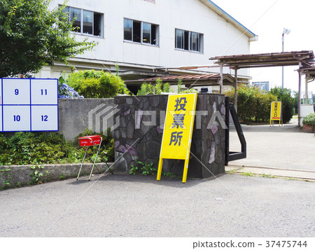 Election polls 37475744