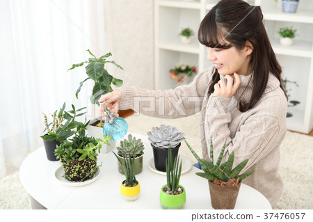 植物女孩 植物女孩 37476057
