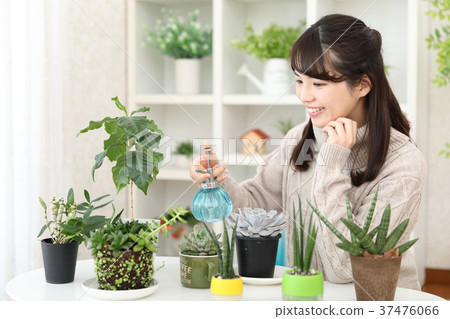 Plant girls Plant girls 37476066