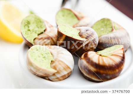 Escargots with garlic butter Escargots with garlic butter 37476700