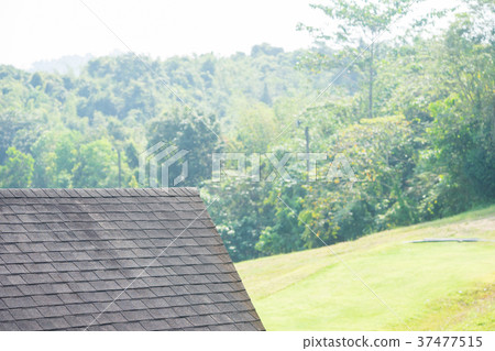 Close up view on Asphalt Roofing Shingles  37477515