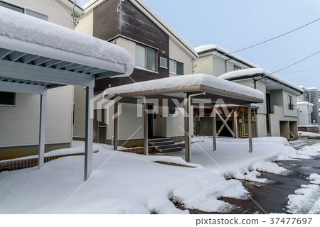 Snow country 37477697