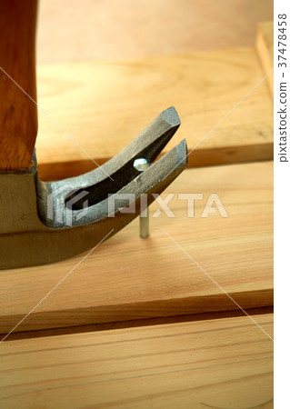 pull out a nail on the tree with a claw hammer pull out a nail on the tree with a claw hammer 37478458