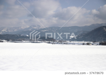 越前胜山雪（福井縣胜山市）的景觀 37478670